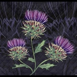 Meet your Posher, Jaime